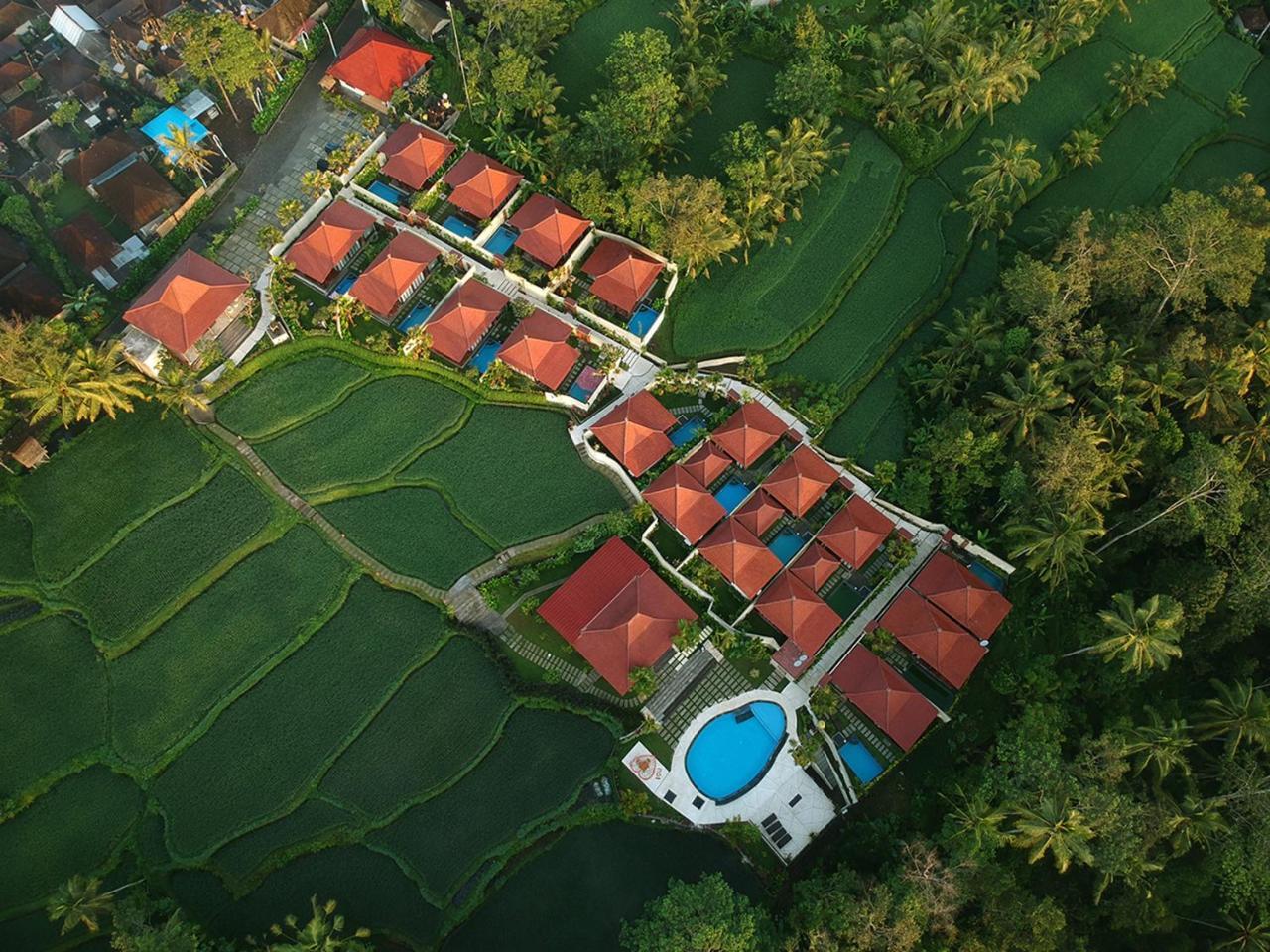 Vrindavan Ubud Villa Tegallalang  Ngoại thất bức ảnh