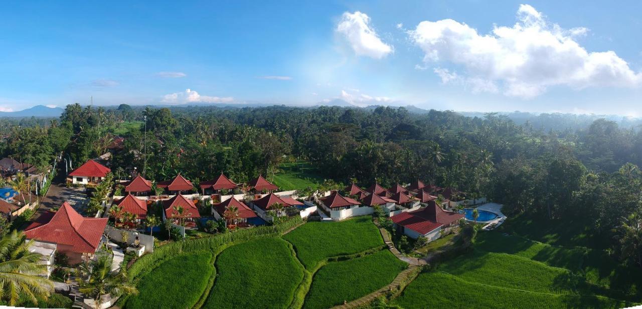 Vrindavan Ubud Villa Tegallalang  Ngoại thất bức ảnh